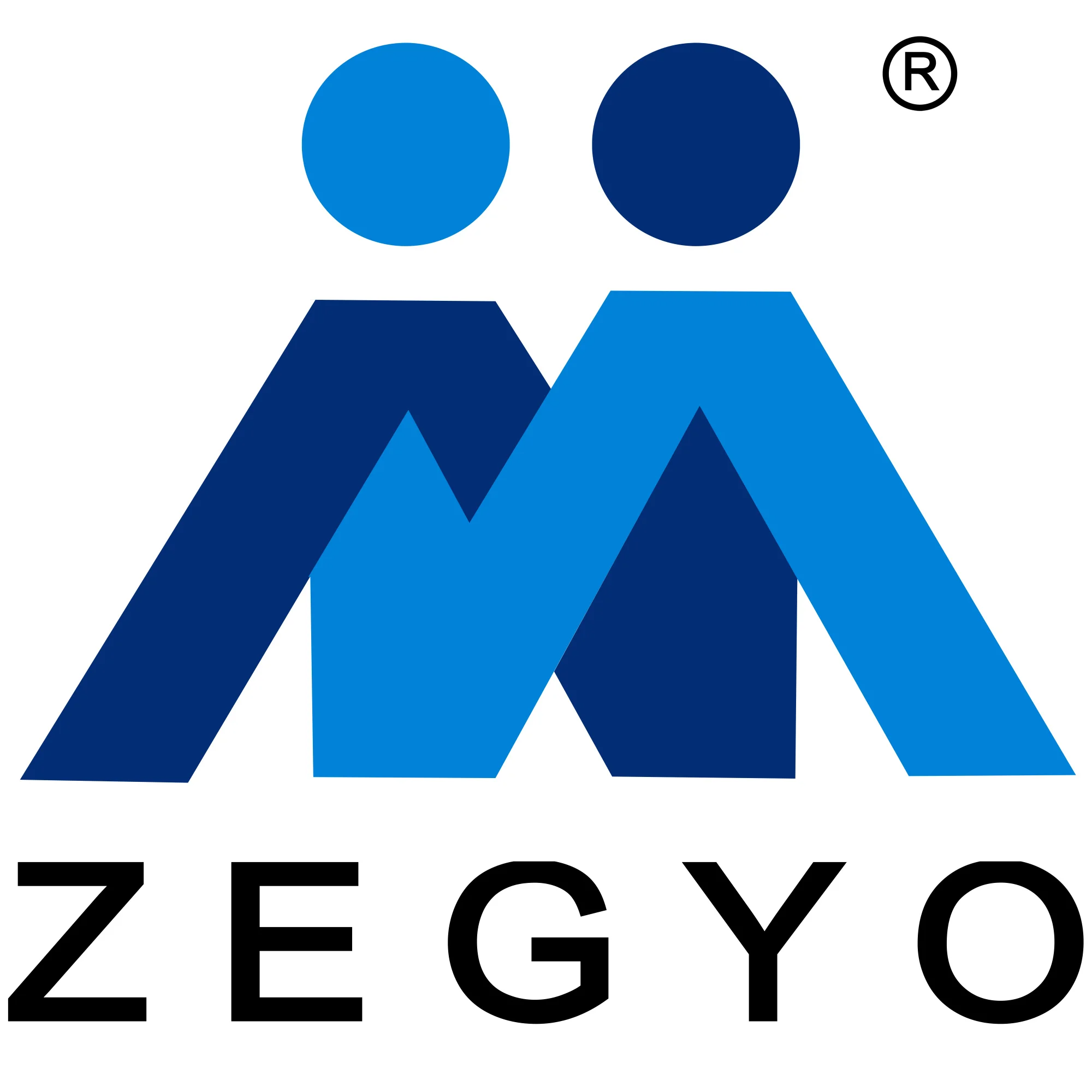 Инструмент Zegyo