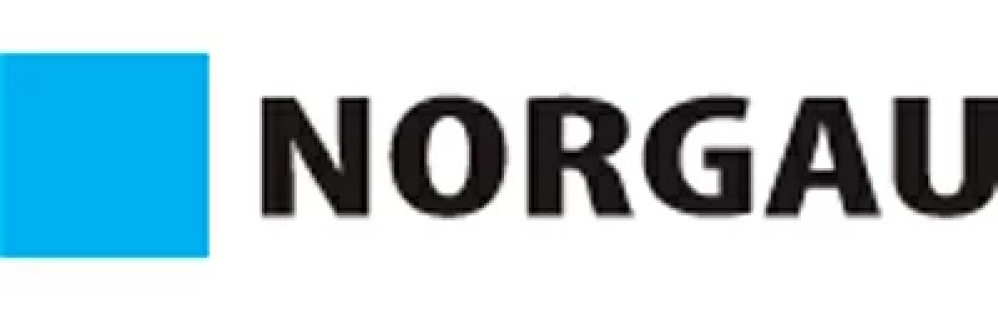 Инструмент Norgau