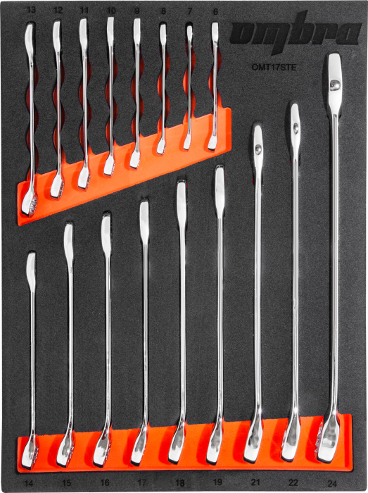 Набор ключей комбинированных 6-24 мм в EVA ложементе 280х375 мм, 17 предметов, Ombra