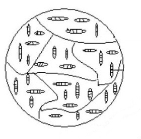 Заэвтектоидная