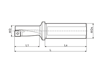 TCAP 16R-2.25D-C20 корпусное сверло многофункциональное Weila Deskar - фото 2