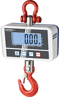 Крановые весы тип HCD 300 кг - фото 1