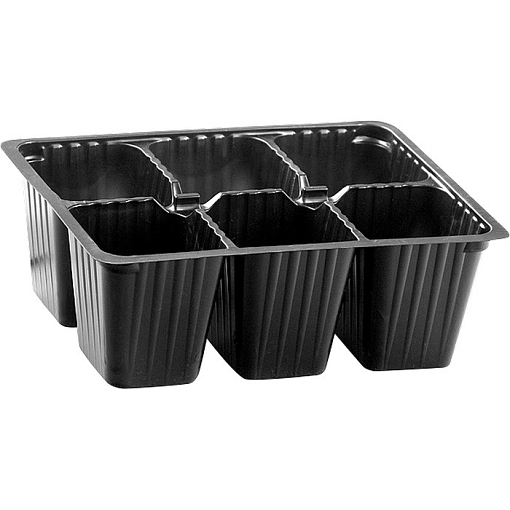 Фото 0 товара Кассета для рассады 180 х 135 х 60 мм, 6 ячеек, полистирол Россия